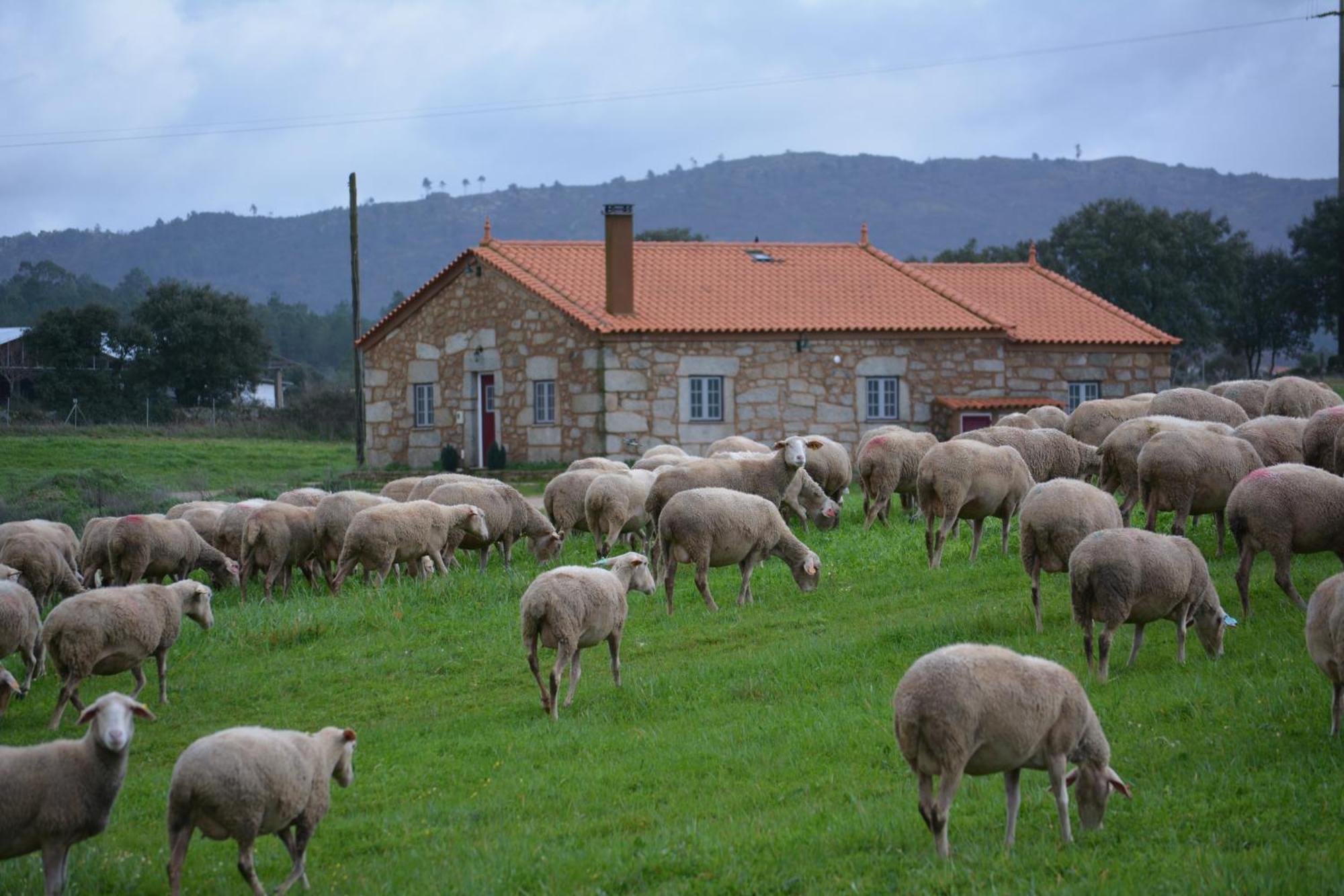 Turismo Rural 4Quintas Minhocal 외부 사진