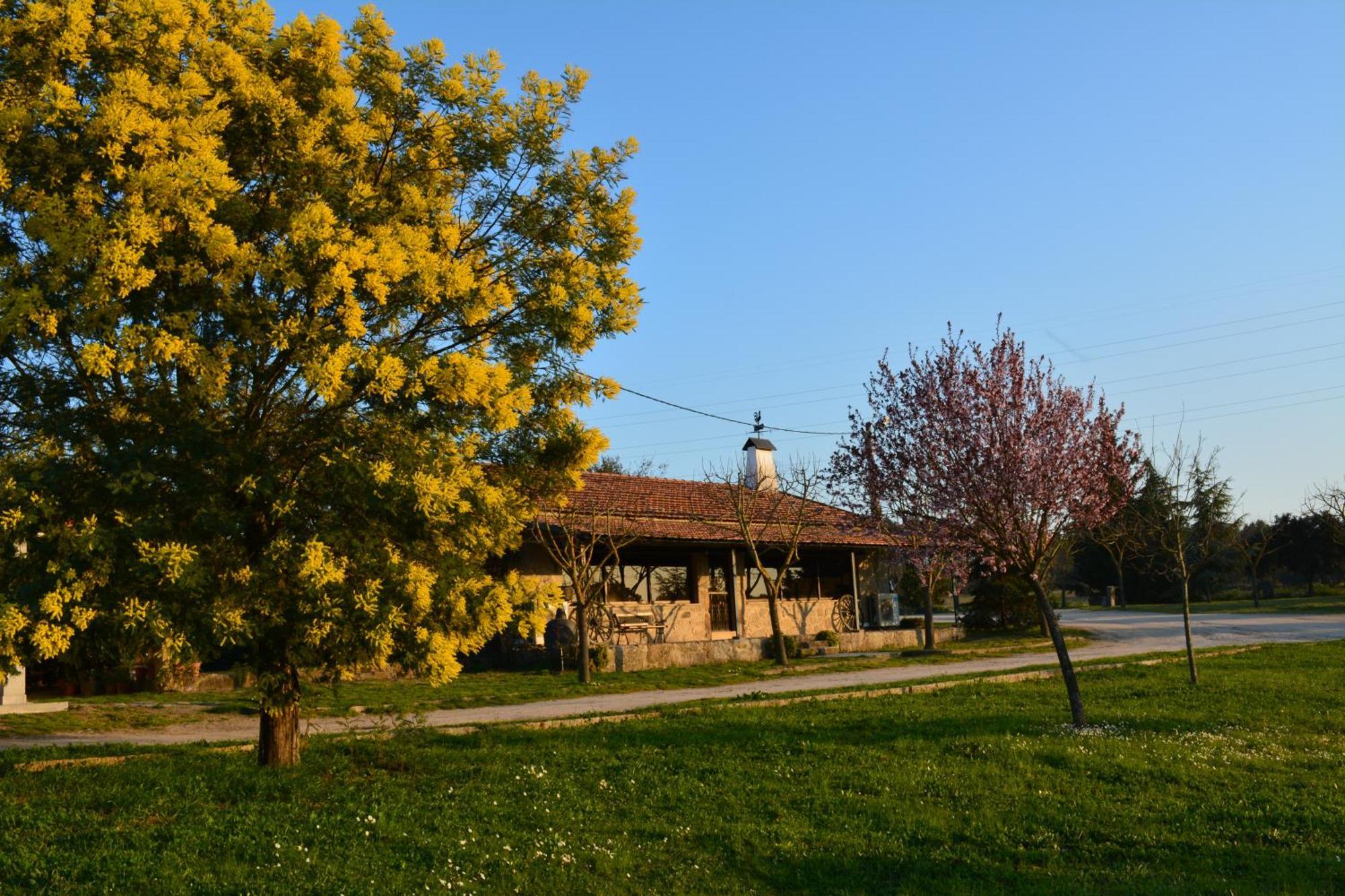 Turismo Rural 4Quintas Minhocal 외부 사진